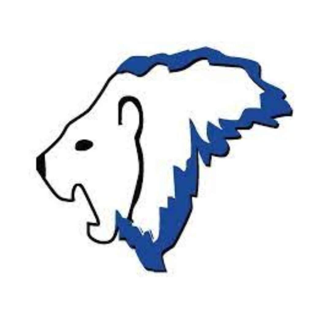 Lyon Financial Swimming Pool Finance Professional Experts